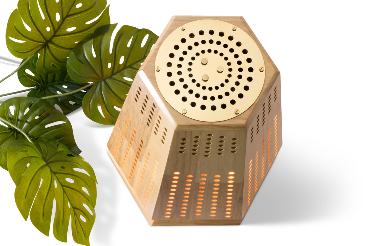 schefflera arboricola air purifier ArborFlow Air Purifier