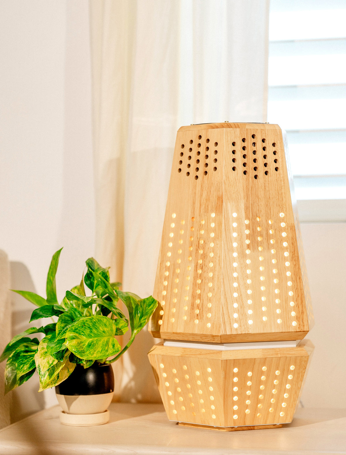 ArborFlow Air Purifier